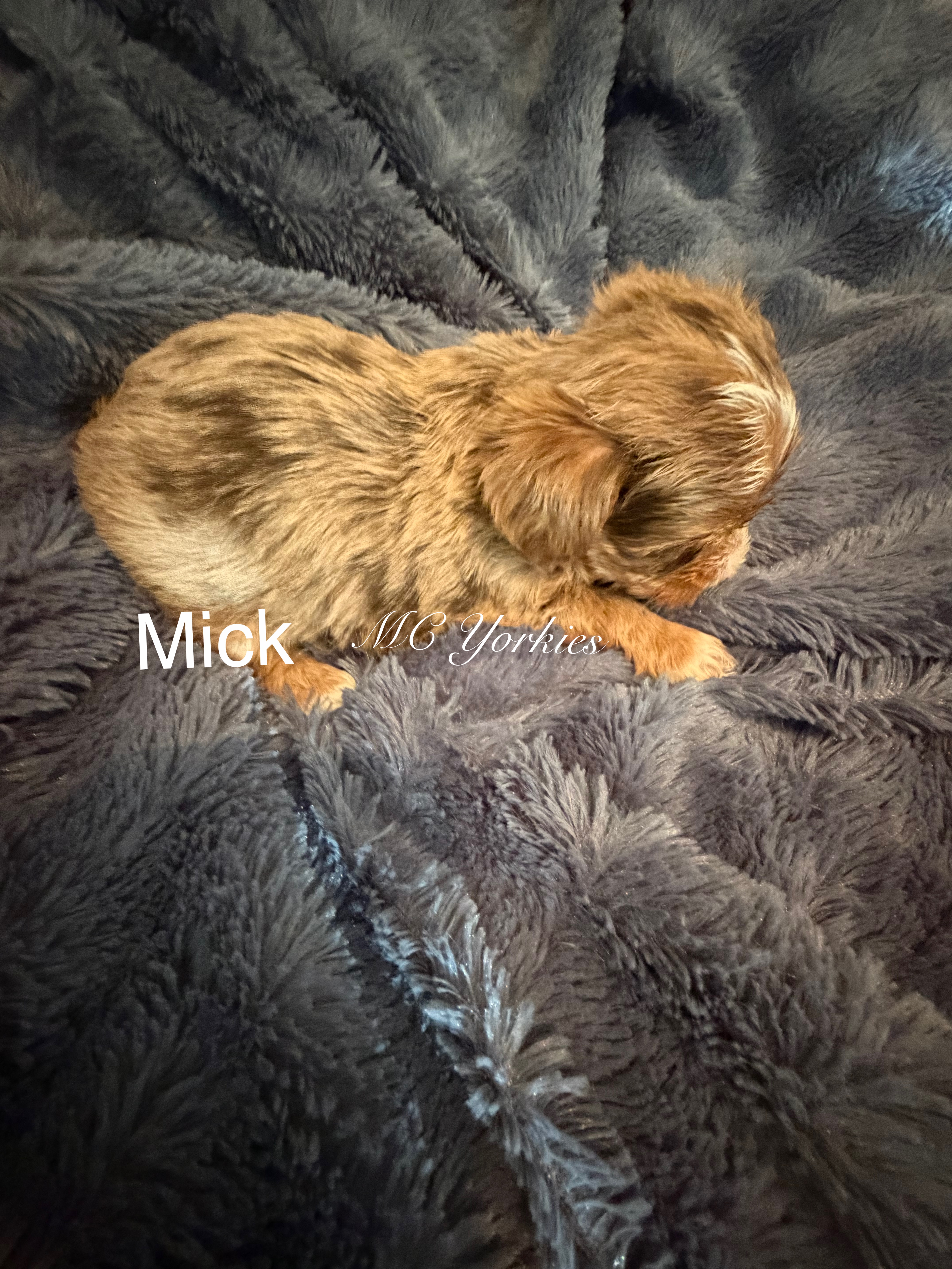 Mick