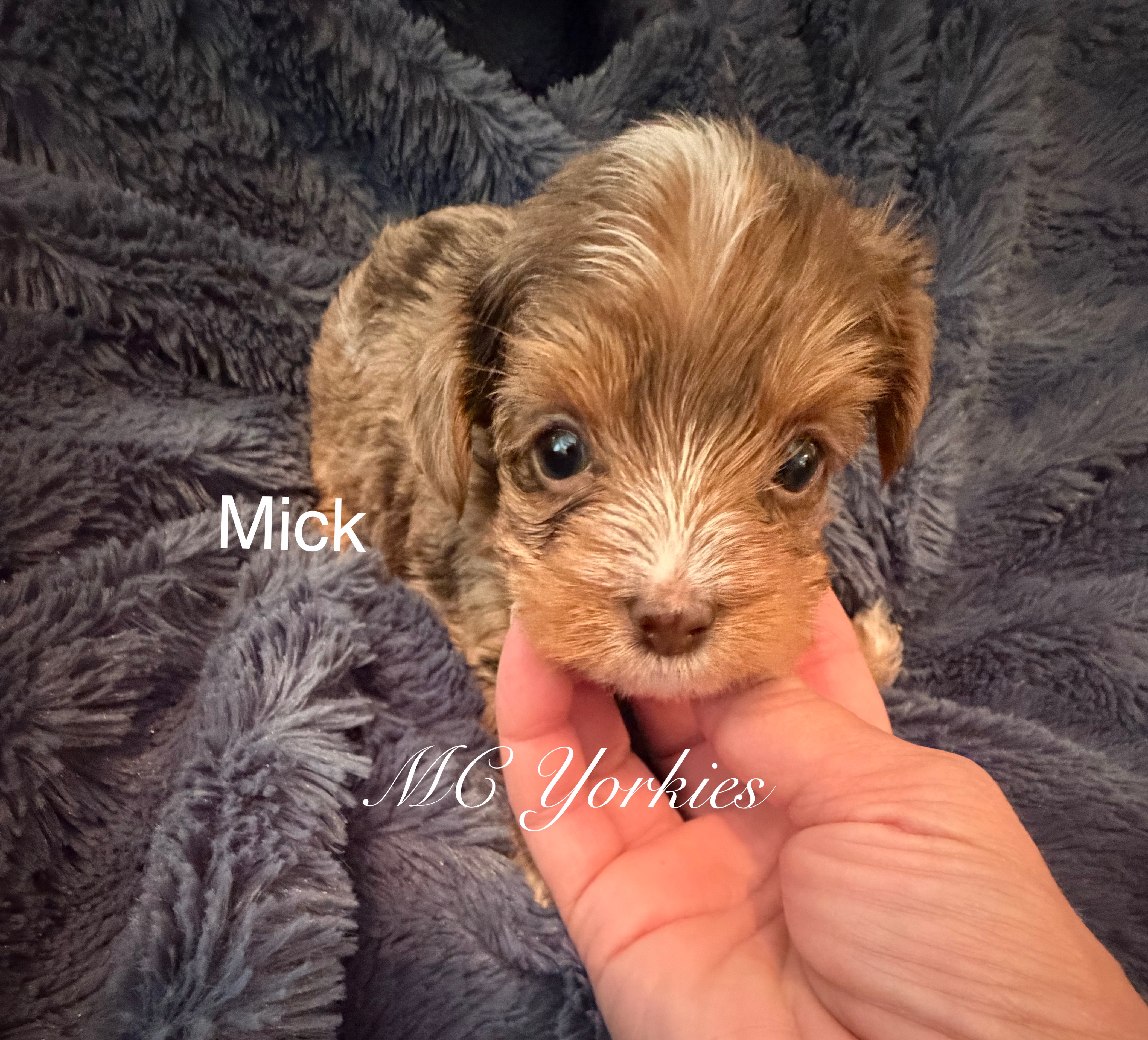 Mick
